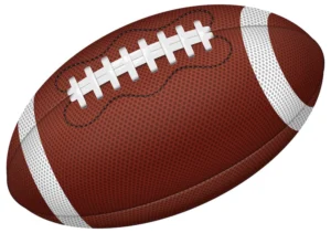 BEARS GAME FEATURES